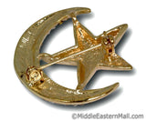 Wholesale one dozen Moon & Star Brooch in Gold