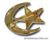 Moon & Star Brooch in Silver or Gold